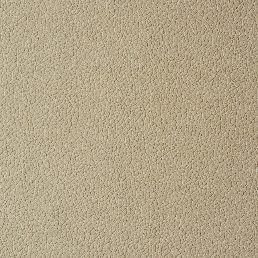 Panda-Cavalier-Cream